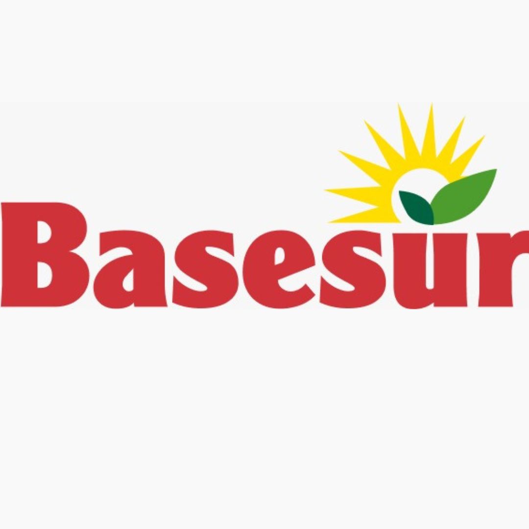 Basesur